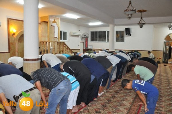 msajed amer qder 804 (51).JPG